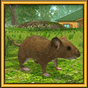 疯狂地鼠城模拟老鼠游戏 v3.5.1安卓版
