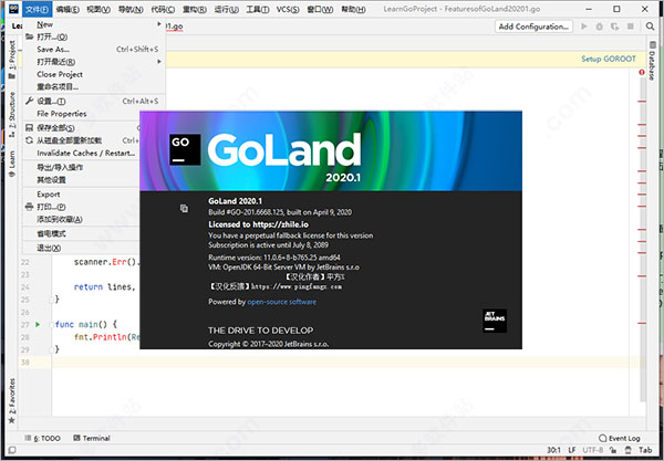 goland2020.1破解版