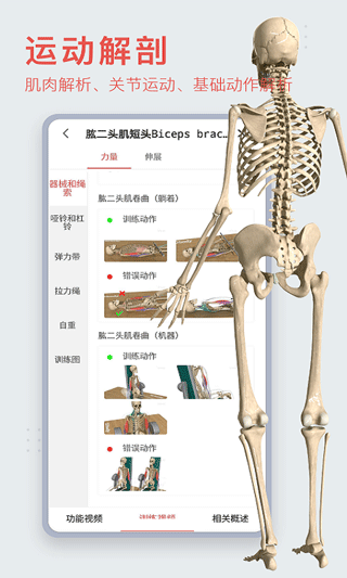 3dbody人体解剖学app苹果版