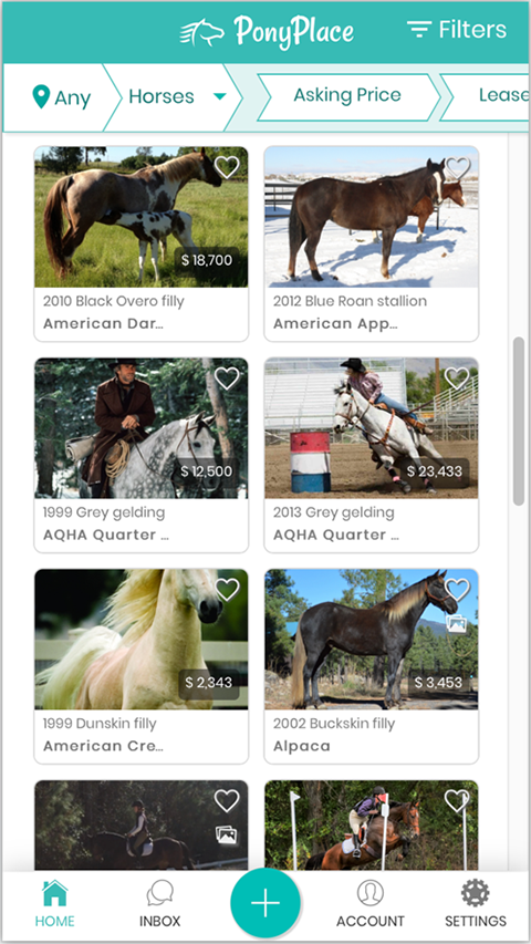 马匹交易网站pony软件